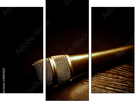 Dark microphone  - Obraz trzyczęściowy, Tryptyk