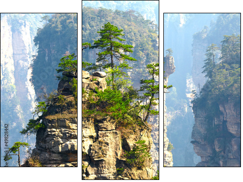 Zhangjiajie National Park, China. Avatar mountains  - Obraz trzyczęściowy, Tryptyk