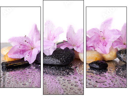 Pink flowers and black stones  - Obraz trzyczęściowy, Tryptyk