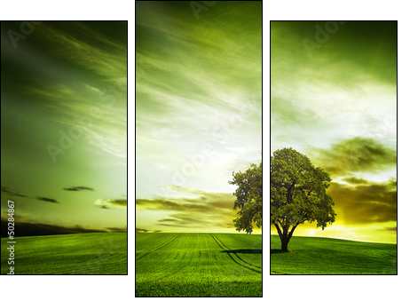 Green nature  - Obraz trzyczęściowy, Tryptyk