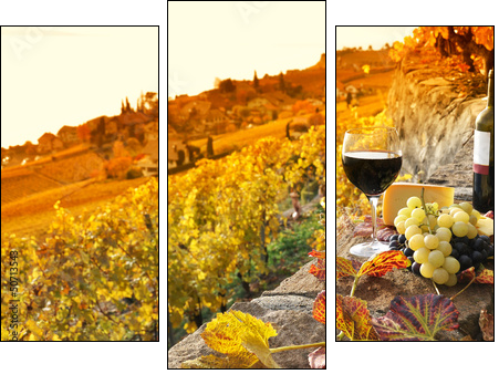 Glass of red wine on the terrace vineyard in Lavaux region, Swit  - Obraz trzyczęściowy, Tryptyk