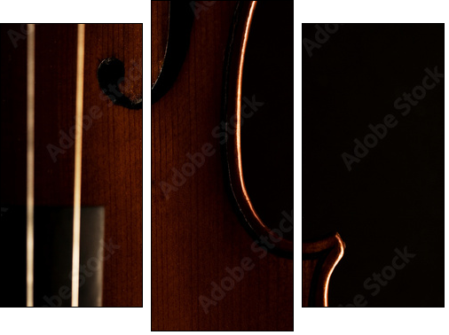 Part of violin  - Obraz trzyczęściowy, Tryptyk