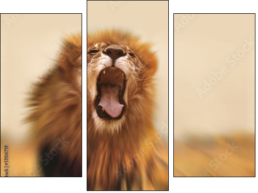 Lion  - Obraz trzyczęściowy, Tryptyk