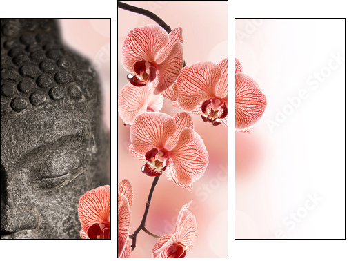 Bouddha et orchidÃ©e rouge  - Obraz trzyczęściowy, Tryptyk