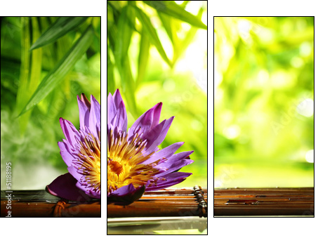 Spa still life with lotus float on water  - Obraz trzyczęściowy, Tryptyk