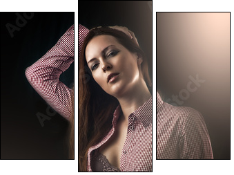 Young sexy woman wearing shorts  - Obraz trzyczęściowy, Tryptyk