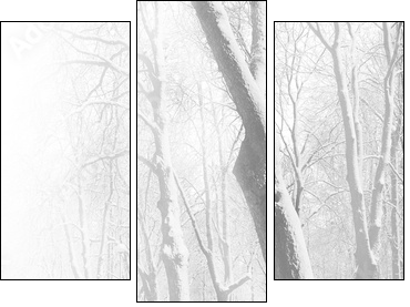 Zima – parkowa ławka pod śniegiem
 - Obraz trzyczęściowy, Tryptyk