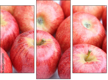 Aromatyczne owoce - soczyste jabłka - Obraz trzyczęściowy, Tryptyk