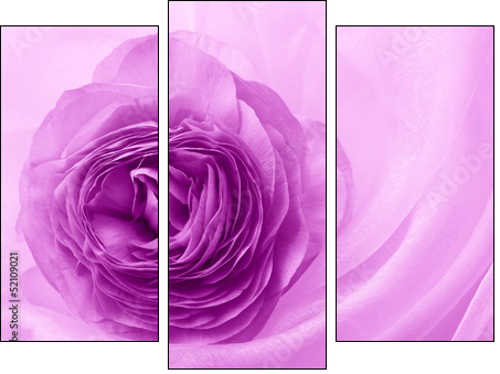 flower petal on soft satin  - Obraz trzyczęściowy, Tryptyk