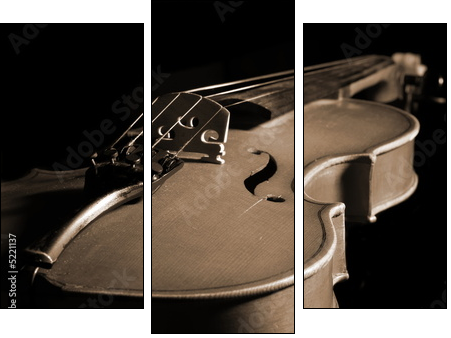 violin isolated on black  - Obraz trzyczęściowy, Tryptyk