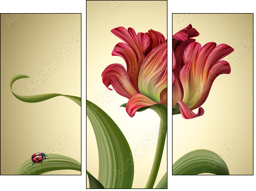 illustration of a beautiful red tulip flower with ladybug  - Obraz trzyczęściowy, Tryptyk