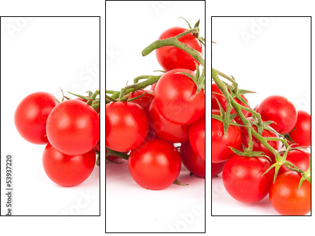 Kiść pomidorków koktajlowych - Obraz trzyczęściowy, Tryptyk
