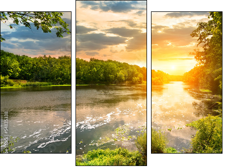 Sunset over the river in the forest  - Obraz trzyczęściowy, Tryptyk