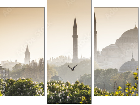 Sultanahmet Camii / Blue Mosque, Istanbul, Turkey  - Obraz trzyczęściowy, Tryptyk