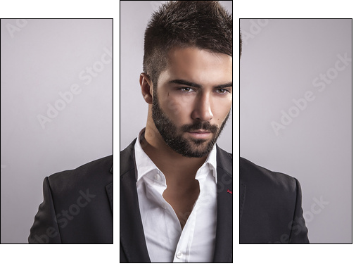 Elegant young handsome man. Studio fashion portrait.  - Obraz trzyczęściowy, Tryptyk