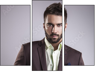 Elegant young handsome man. Studio fashion portrait.  - Obraz trzyczęściowy, Tryptyk