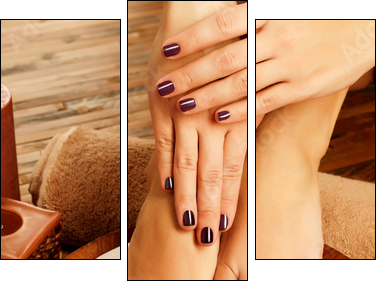 female feet at spa salon on pedicure procedure  - Obraz trzyczęściowy, Tryptyk