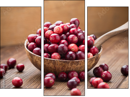 Cranberries.  - Obraz trzyczęściowy, Tryptyk