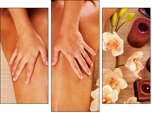 Masseur doing massage on woman back in spa salon  - Obraz trzyczęściowy, Tryptyk
