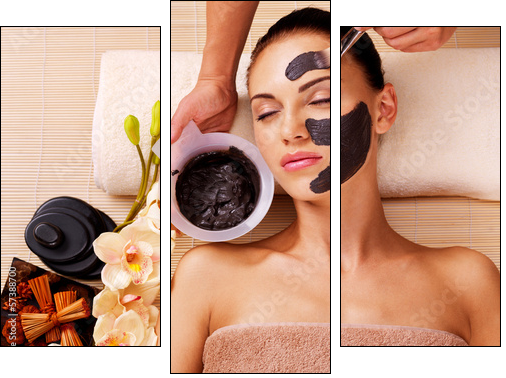 Cosmetologist smears cosmetic mask on the face of  woman  - Obraz trzyczęściowy, Tryptyk