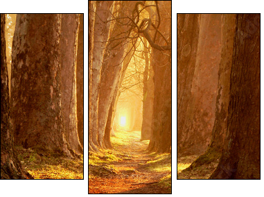Ciepła jesień – leśna droga
 - Obraz trzyczęściowy, Tryptyk