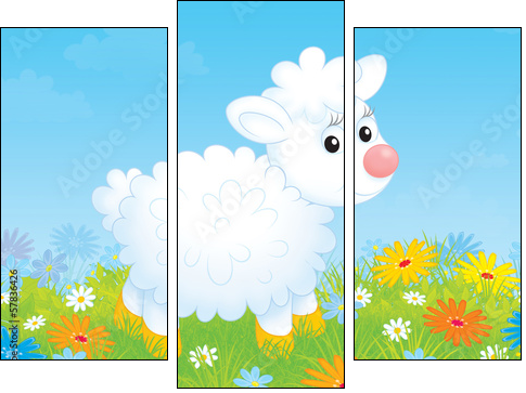 Little white sheep walking on a flowery meadow  - Obraz trzyczęściowy, Tryptyk