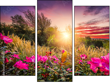 Backyard Sunrise  - Obraz trzyczęściowy, Tryptyk