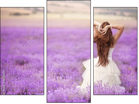Bride in wedding day in lavender field  - Obraz trzyczęściowy, Tryptyk