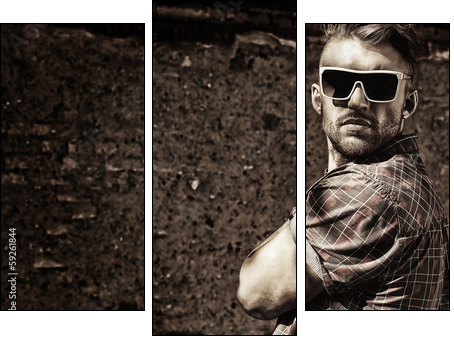 sunglasses  - Obraz trzyczęściowy, Tryptyk
