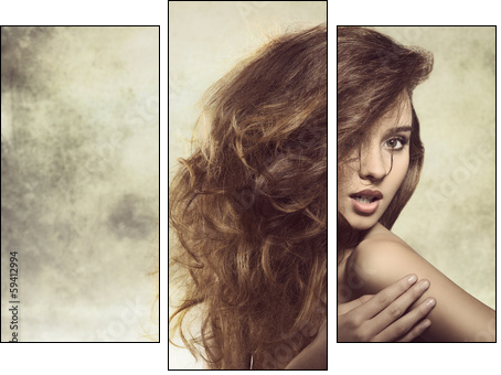 sexy lady with bushy hair  - Obraz trzyczęściowy, Tryptyk