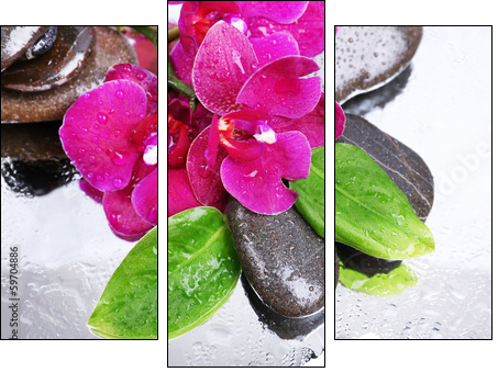 Composition with beautiful blooming orchid with water drops and  - Obraz trzyczęściowy, Tryptyk