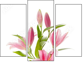 Dostojna różowa lilia - Obraz trzyczęściowy, Tryptyk