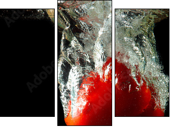 sweet red pepper  - Obraz trzyczęściowy, Tryptyk