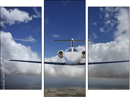 Executive in flight  - Obraz trzyczęściowy, Tryptyk
