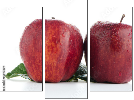 Ripe red apples  - Obraz trzyczęściowy, Tryptyk