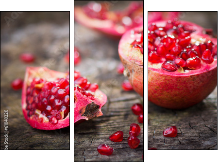 Pomegranate  - Obraz trzyczęściowy, Tryptyk