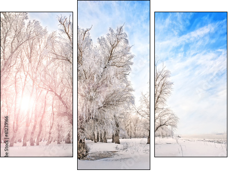 Winter time with river, trees and bright sun on a side  - Obraz trzyczęściowy, Tryptyk