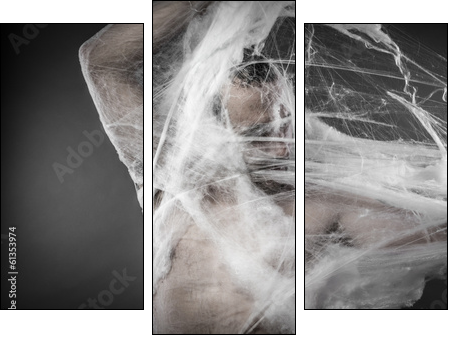 Trap.man tangled in huge white spider web  - Obraz trzyczęściowy, Tryptyk