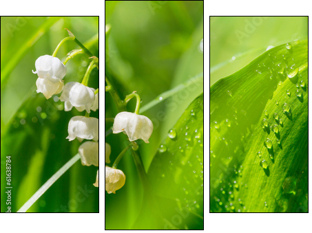 Lilly of the valley  - Obraz trzyczęściowy, Tryptyk