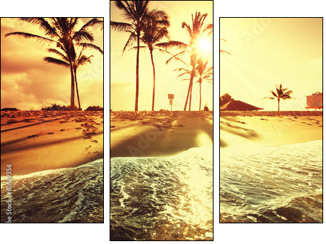 Tropical beach  - Obraz trzyczęściowy, Tryptyk