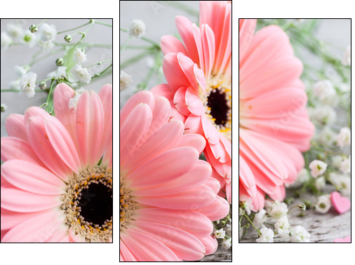 Gerbera mit Herzen  - Obraz trzyczęściowy, Tryptyk