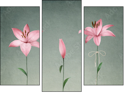 Three pink lily  - Obraz trzyczęściowy, Tryptyk
