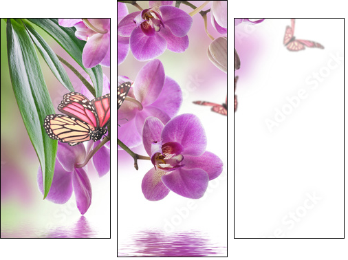 Floral background of tropical orchids and  butterfly - Obraz trzyczęściowy, Tryptyk