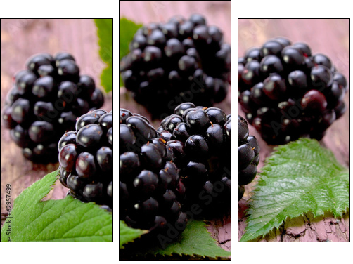 Balckberry fruit closeup  - Obraz trzyczęściowy, Tryptyk