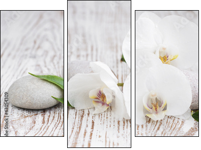 Orchids spa - Obraz trzyczęściowy, Tryptyk