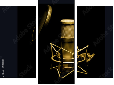 golden microphone isolated on black background  - Obraz trzyczęściowy, Tryptyk