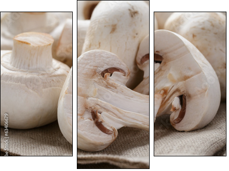 fresh white champignon on wood table  - Obraz trzyczęściowy, Tryptyk