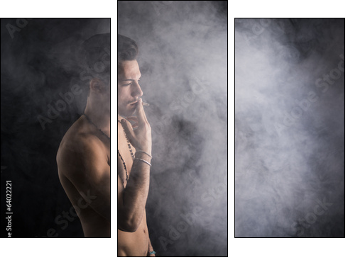 Shirtless young man smoking cigarette with a lot of smoke around  - Obraz trzyczęściowy, Tryptyk