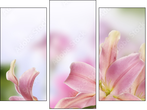 Lily.Flower card  - Obraz trzyczęściowy, Tryptyk