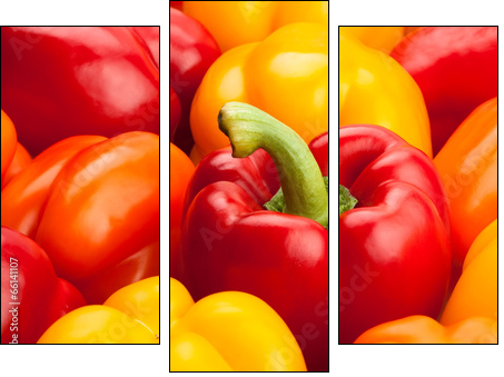bell peppers  - Obraz trzyczęściowy, Tryptyk